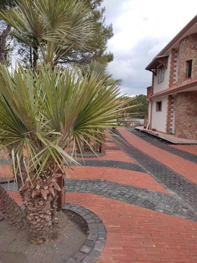 مبيت وإفطار نيكولوسي Etna Casa Del Sole المظهر الخارجي الصورة
